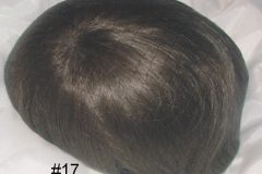Color #17 Medium Light Brown