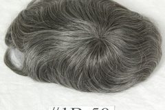Color #1B50