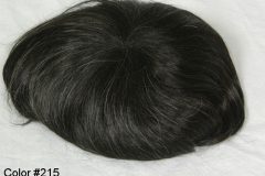 Color #215 Darkest Brown-Gray