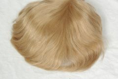Color #23 Blonde