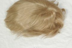 Color #26 Blonde
